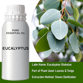 Eucalyptus Essential Oil - Bulk - 0.5Kg