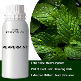 Peppermint Essential Oil - Bulk - 0.5Kg