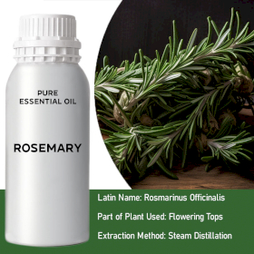 Rosemary Essential Oil - Bulk - 0.5Kg