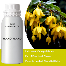 Ylang Ylang 1 Essential Oil - Bulk - 0.5Kg