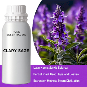 Clary Sage Essential Oil - Bulk - 0.5Kg