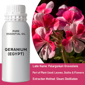Geranium (Egypt) Essential Oil - Bulk - 0.5Kg
