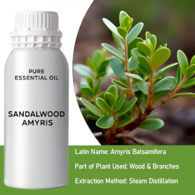 Sandalwood Amyris Essential Oil - Bulk - 0.5Kg