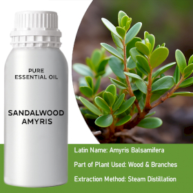 Sandalwood Amyris 0.5Kg