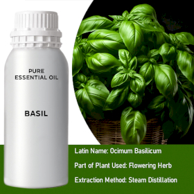 Basil Essential Oil - Bulk - 0.5Kg