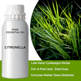 Citronella Essential Oil - Bulk - 0.5Kg