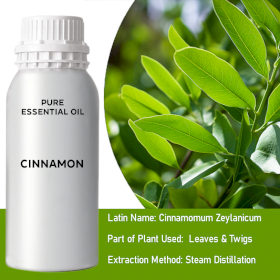 Cinnamon Essential Oil - Bulk - 0.5Kg