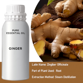 Ginger Essential Oil - Bulk - 0.5Kg