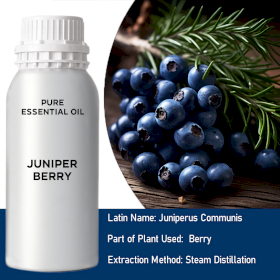 Juniperberry Essential Oil - Bulk - 0.5Kg