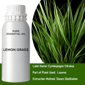 Lemongrass Essential Oil - Bulk - 0.5Kg
