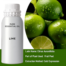 Lime Essential Oil - Bulk - 0.5Kg
