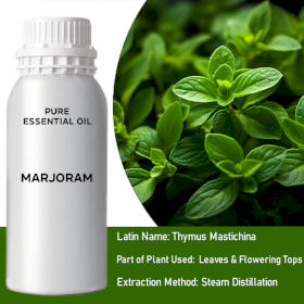 Marjoram Essential Oil - Bulk - 0.5Kg