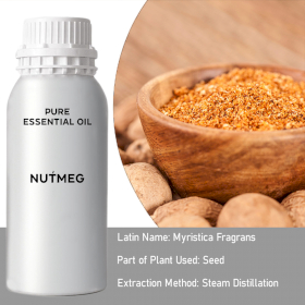 Nutmeg Essential Oil - Bulk - 0.5Kg