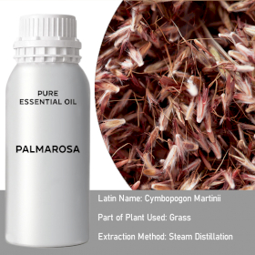 Palmarosa  Essential Oil - Bulk - 0.5Kg