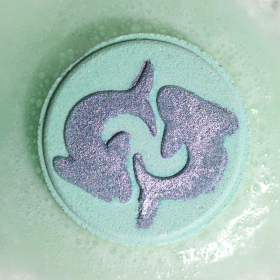 Box of 2 Zodiac Bath Fizzers with Horoscope - Pisces