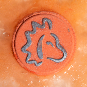 Box of 2 Zodiac Bath Fizzers with Horoscope - Leo