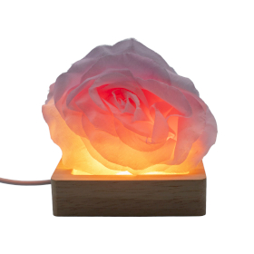 3x 8cm Square Wooden USB LED Stand - Cool/Warm/Daylight