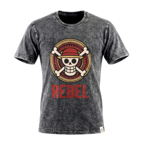 Small Stone Washed T-Shirt - Rebel - Charcoal