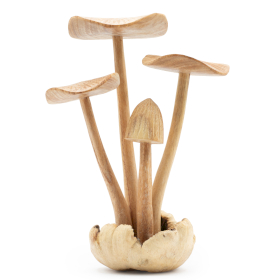 Set of 4 Large Mushrooms Handmade Parasite Wood Carving