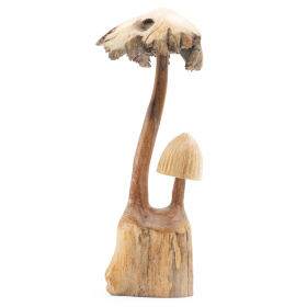 Set of Two Mushrooms Handmade Parasite Wood Carving