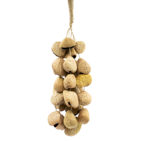 Med Pangi Seed Shell - Natural Nut Shaker (30 Shells)