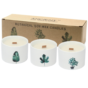 3x Med Botanical Candles - Mullberry Harvest