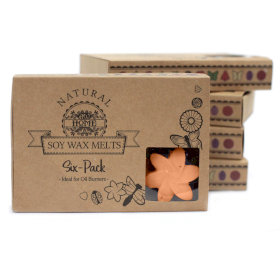 5x Box of 6 Wax Melts - Tuberose