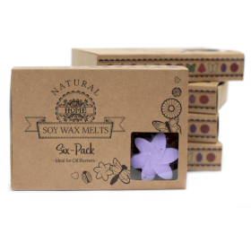 5x Box of 6 Wax Melts - Lavender Fields