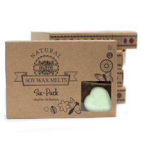 5x Box of 6 Wax Melts - Apple Spice