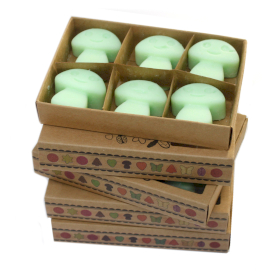 5x Box of 6  Wax Melts - Liquorice