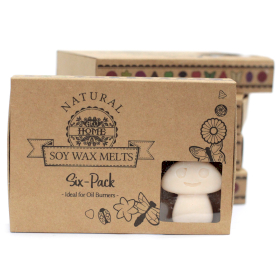 5x Box of 6 Wax Melts - Vanilla Nutmeg