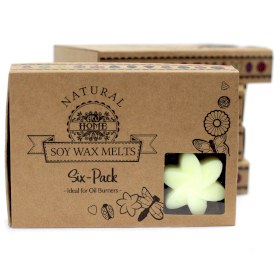 5x Box of 6 Wax Melts - Lemon Harvest