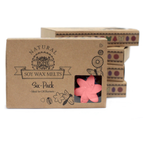 5x Box of 6 Wax Melts -  Japanese Magnolia