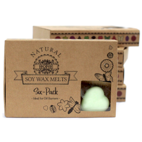 5x Box of 6 Wax Melts - Mint & Menthol