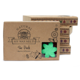 5x Box of 6 Wax Melts - Hidden Garden