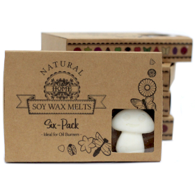 5x Box of 6 packs Wax Melts - White Musk