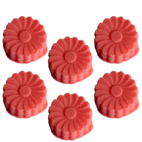 36x Big Pack Nat-Wax Melts - Watermelon Fresh