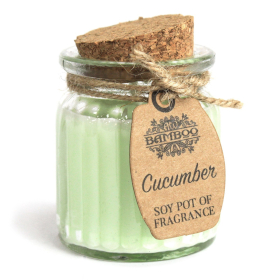 6x Cucumber Soy Pot of Fragrance Candles