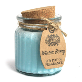6x Winter Berry Soy Pot of Fragrance Candles