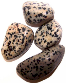 24x L Tumble Stones - Dalmatian Jasper L