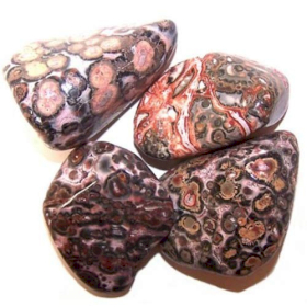 24x L Tumble Stones -  Leopard Skin Jasper L