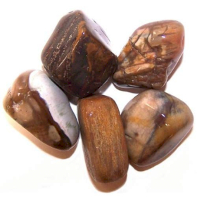24x L Tumble Stones - Petrified Wood L