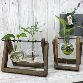 hydroponic glass vase
