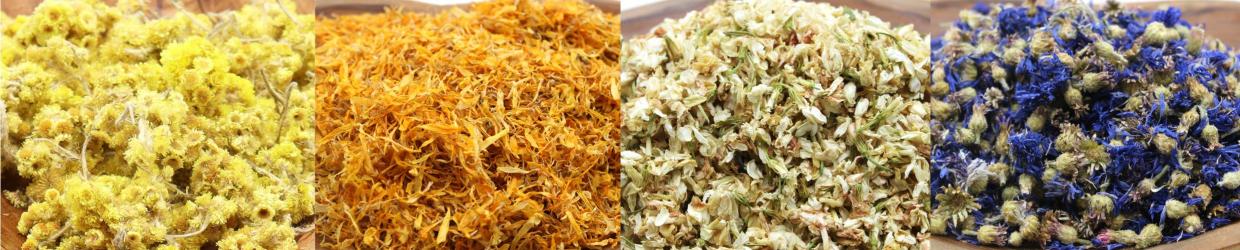 Pure Dried Floral Wholesale