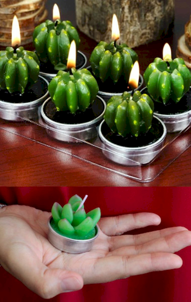 Wholesale Cactus Candles