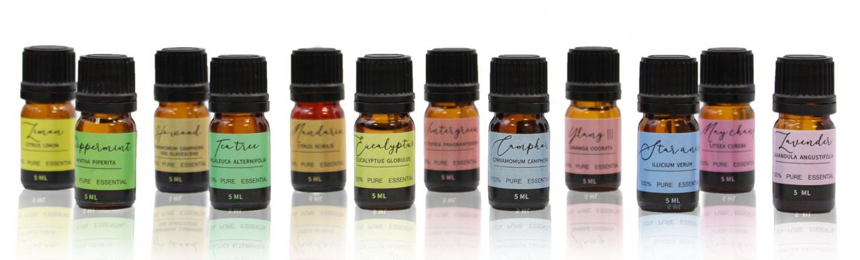 Aromatherapy Essential Oil Set