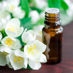 Health and Beauty Benefits of Jasmine Essential Oil