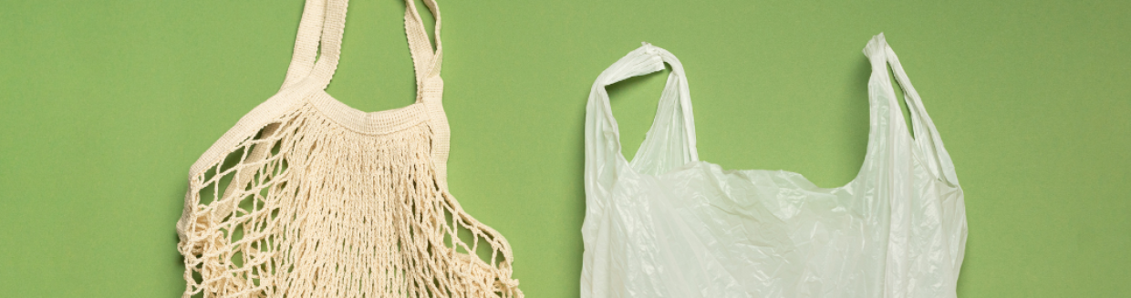Cost of Plastic Bags