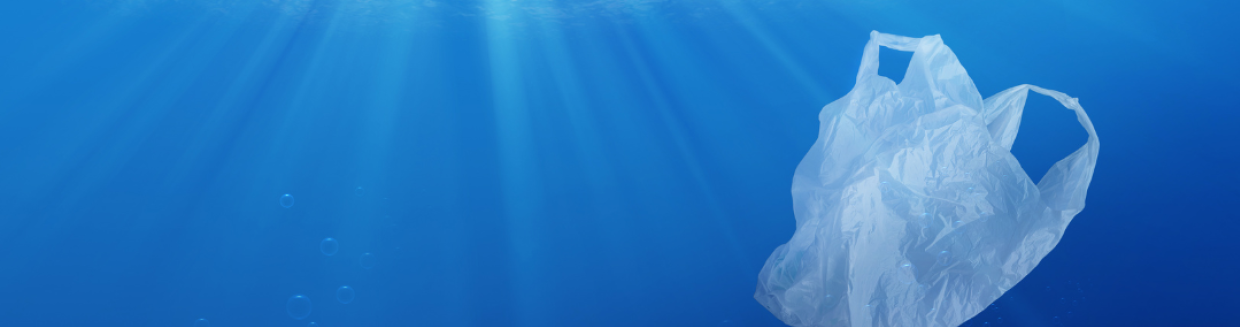 Cost of Plastic Bags