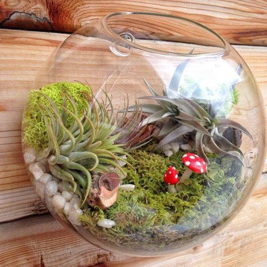 Glass Terrarium Bowls AWGifts Europe Wholesale Giftware and